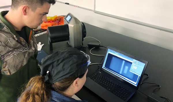 Students evaluate digital X-ray image with D-Tect